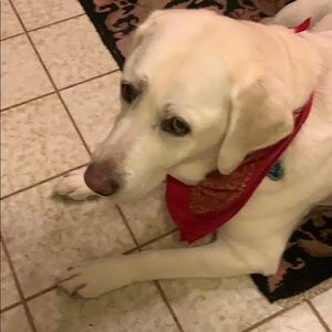 Meet your Posher, Tessa